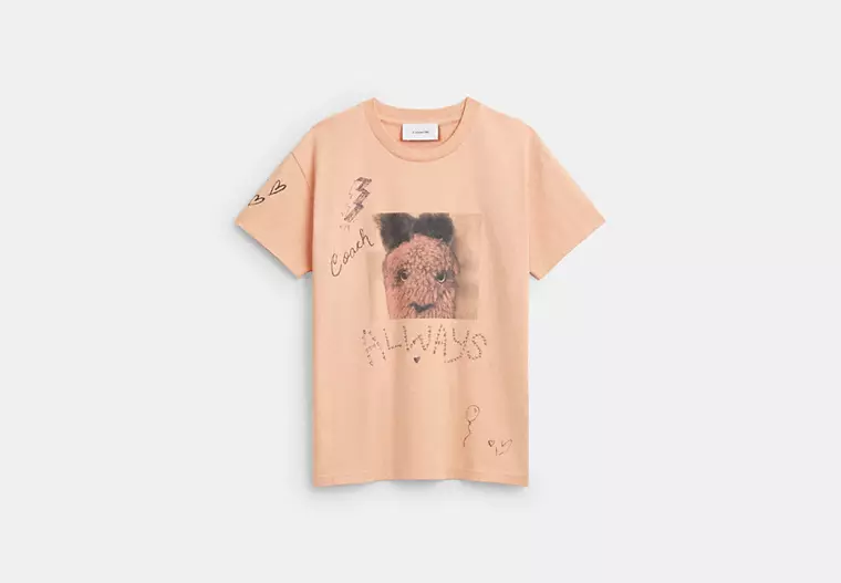 Carroty Shrunken T-Shirt In Organic Cotton - Light Orange