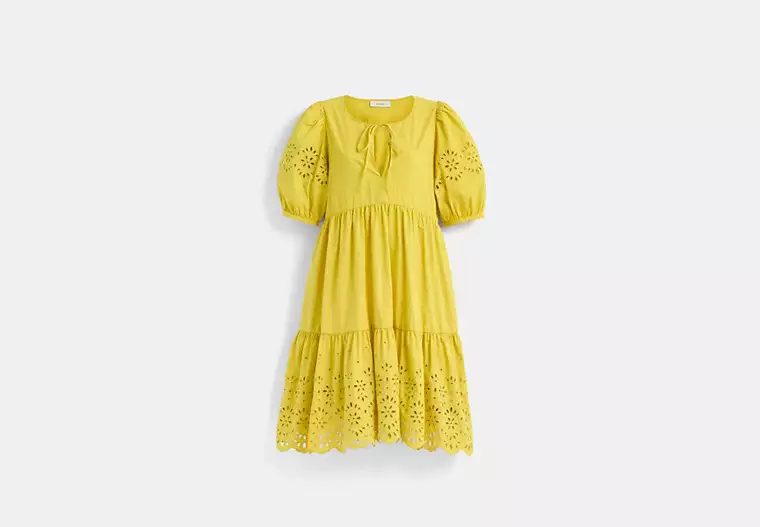 Restored Broderie Anglaise Puff Sleeve Dress In Organic Cotton - Yellow