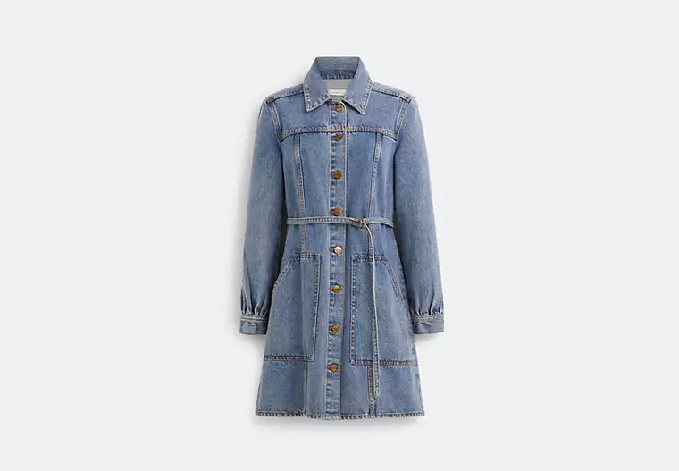 Restored Denim Dress - Blue